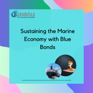 Sustaining the Marine Economy with Blue Bonds